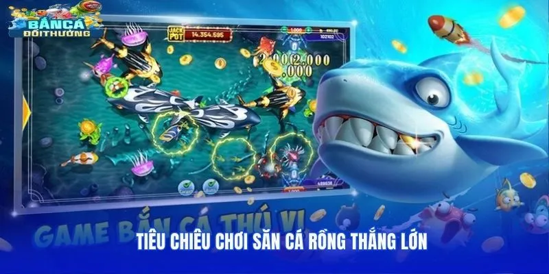 Tiêu chiêu chơi săn cá Rồng thắng lớn
