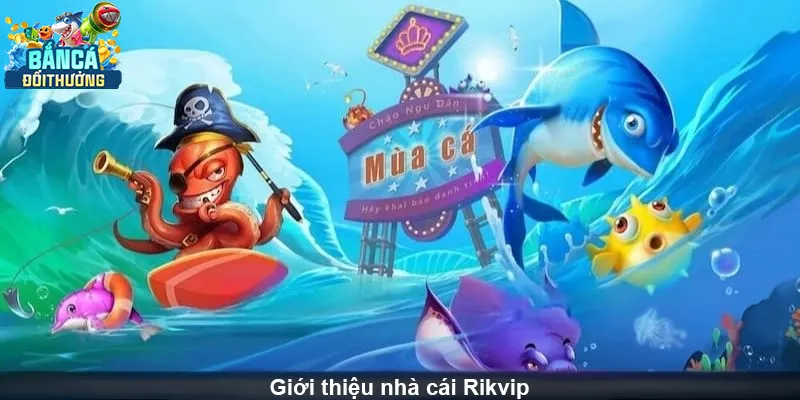 Rikvip – giao diện đẹp, dễ chơi, dễ trúng.