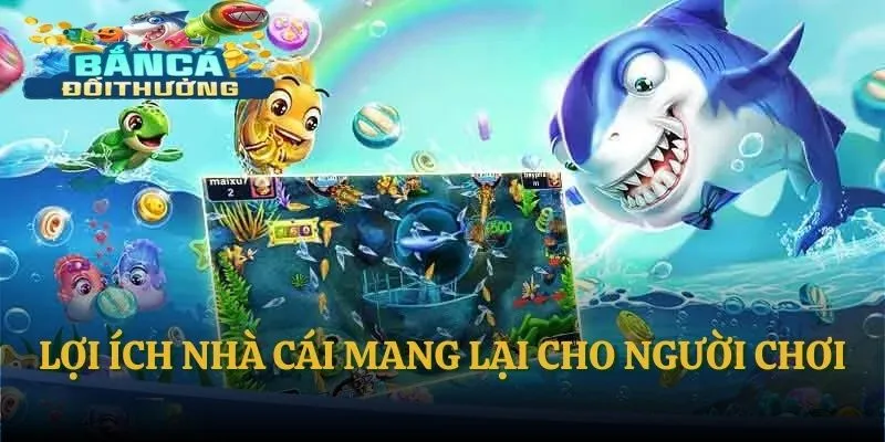 Lợi ích nhà cái mang lại cho người chơi