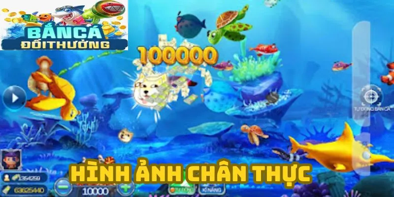 Chất lượng âm thanh hình ảnh tuyệt vời